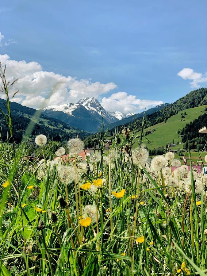 Hotel Garni Wieshof Kirchberg in Tirol Exterior photo